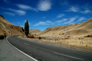 News Item One News Item One